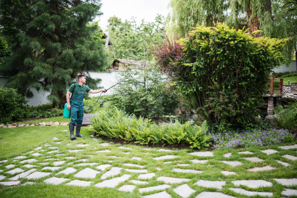 Best Wasp Removal Services  in St Martin, MS