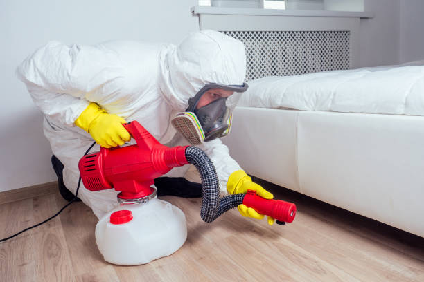 Best Pest Control Near Me in St Martin, MS