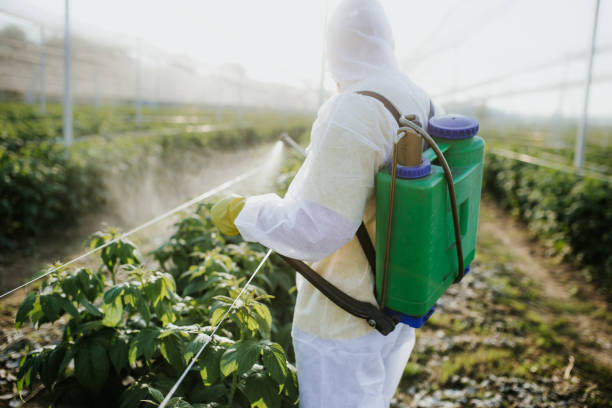 Best Cockroach Control Services  in St Martin, MS